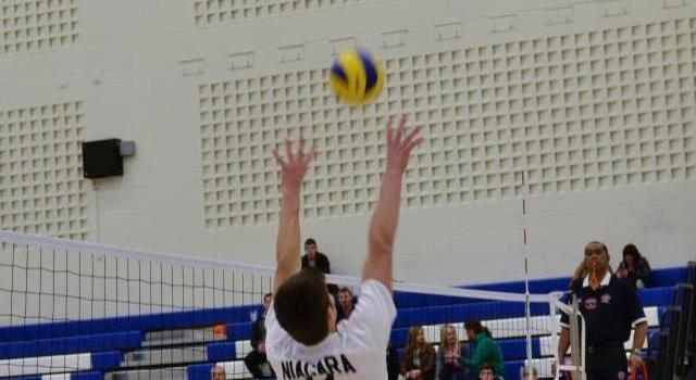 Knights Men's Volleyball Team Fall Prey To Falcons
