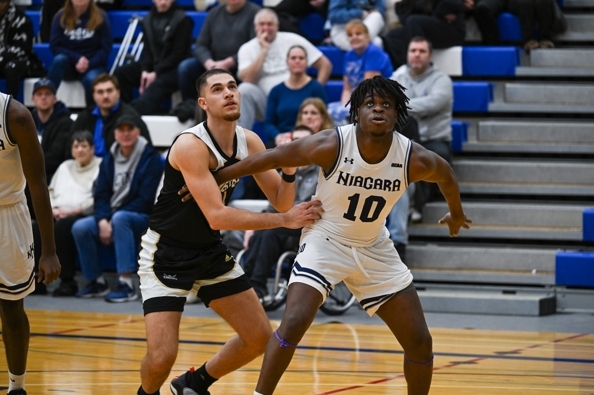 Knights men’s basketball find victory over visiting Condors