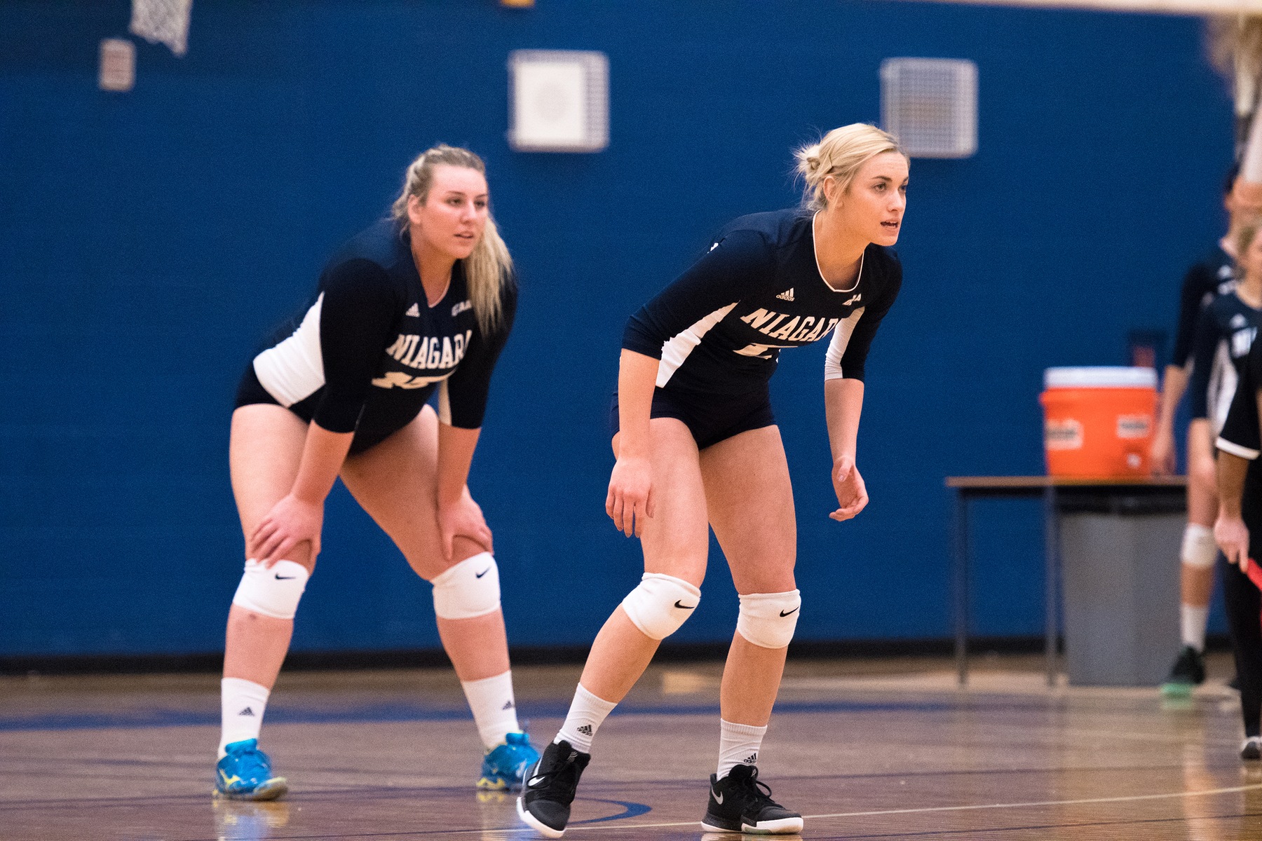 PREVIEW: Knights Women's Volleyball set to host Sting On Feb. 19