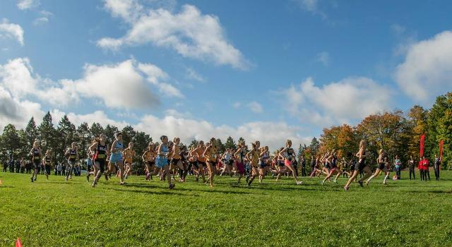 Niagara College Knights Make Debut in Cross Country