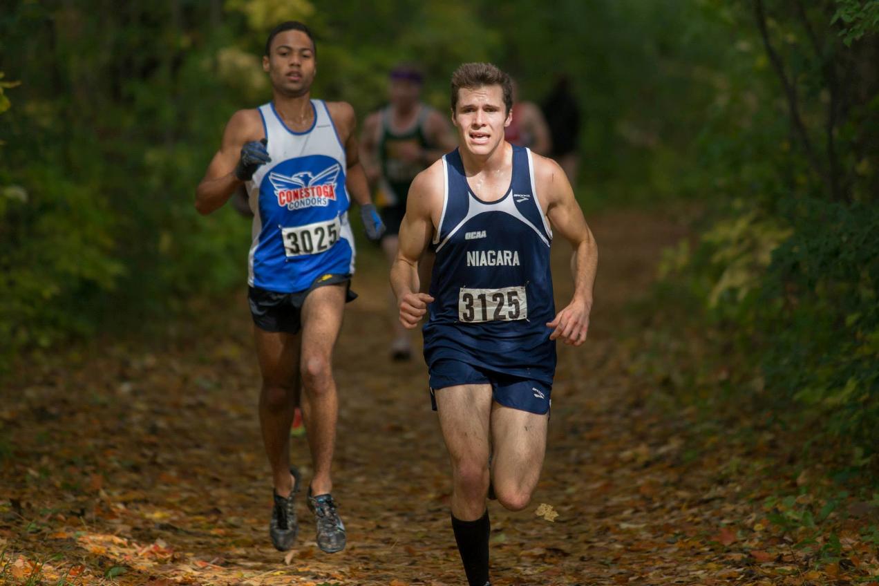 Knights cross country set to hit the ground running