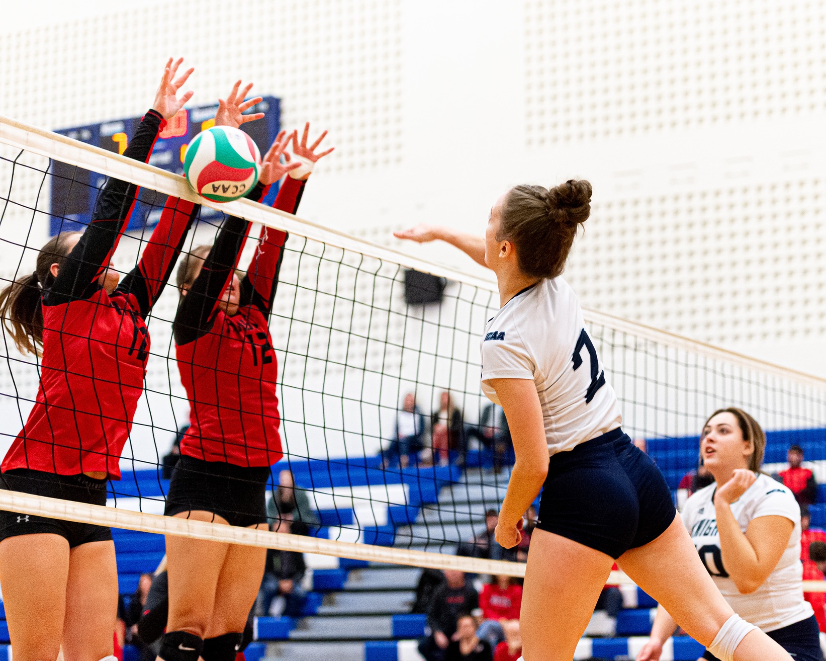 Knights Women’s Volleyball Loses Two Straight to Humber and Fanshawe
