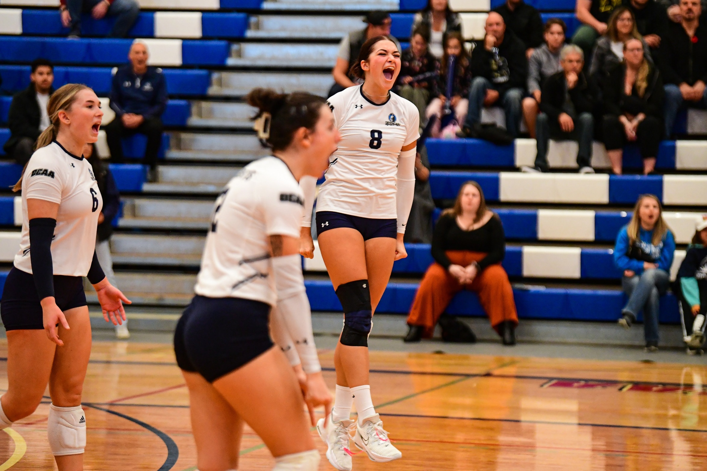 Niagara Knights women’s volleyball conquer the Mountaineers